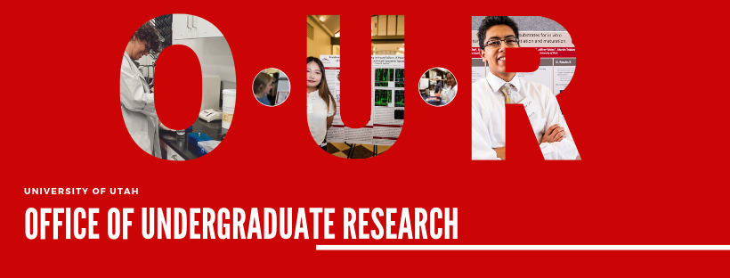 office of undergraduate research